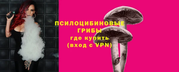 гашик Алзамай