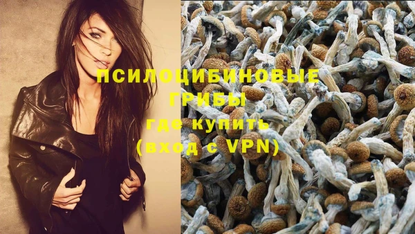 ГАЛЛЮЦИНОГЕННЫЕ ГРИБЫ Алексеевка