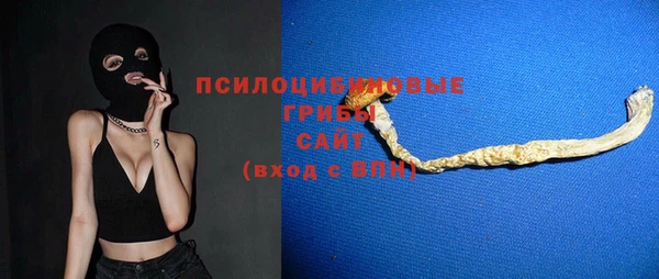 ГАЛЛЮЦИНОГЕННЫЕ ГРИБЫ Алексеевка