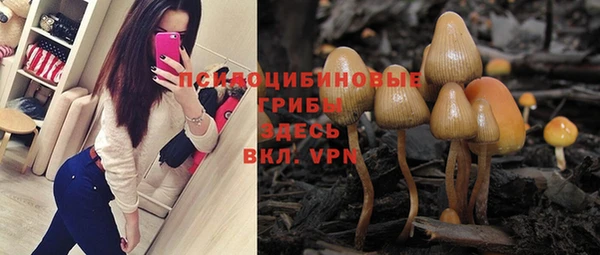ГАЛЛЮЦИНОГЕННЫЕ ГРИБЫ Алексеевка