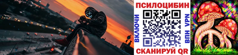 Псилоцибиновые грибы Cubensis  Заинск 